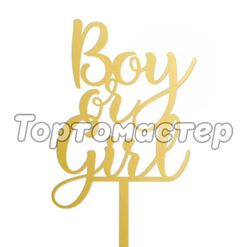 Топпер декоративный акриловый "Boy or Girl" TA/13