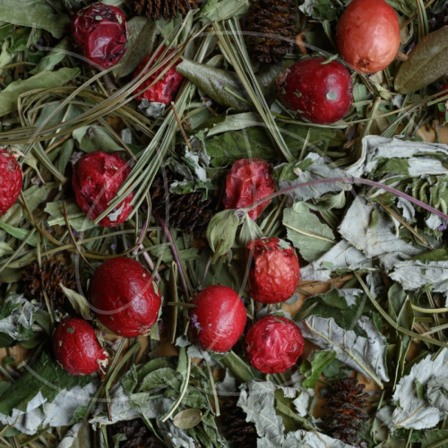 Чай листовой Травники Сибири "Лесник" 25 г 