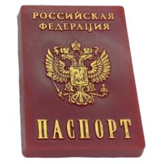 Форма пластиковая Паспорт РФ 2420